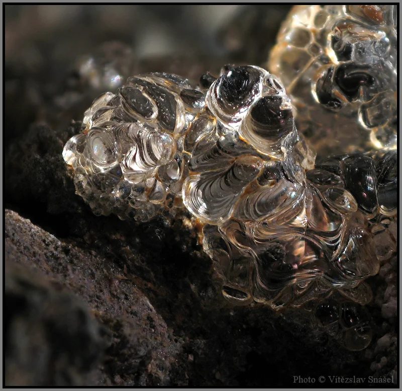 Opal (var. hyalite)