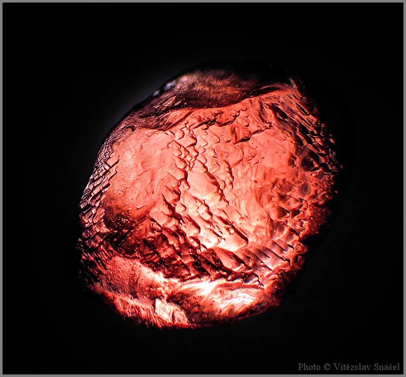 Mineral photo of Pyrope from locality Vestřev, Czech Republic
