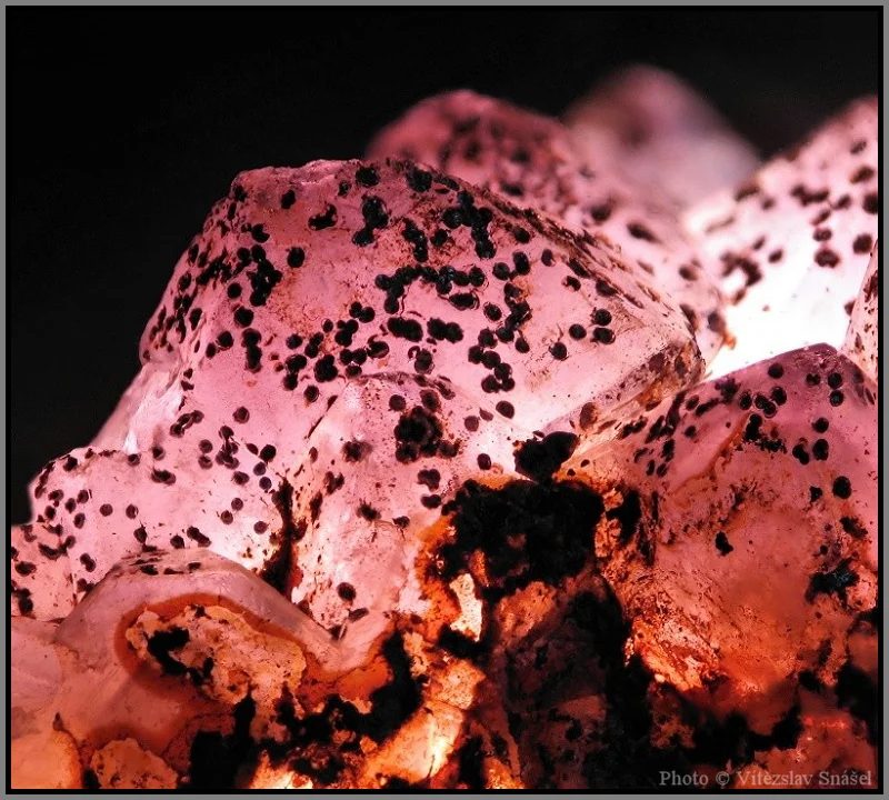 Quartz (var. amethyst)