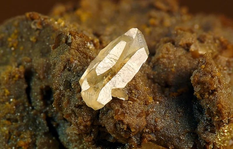 Whewellite