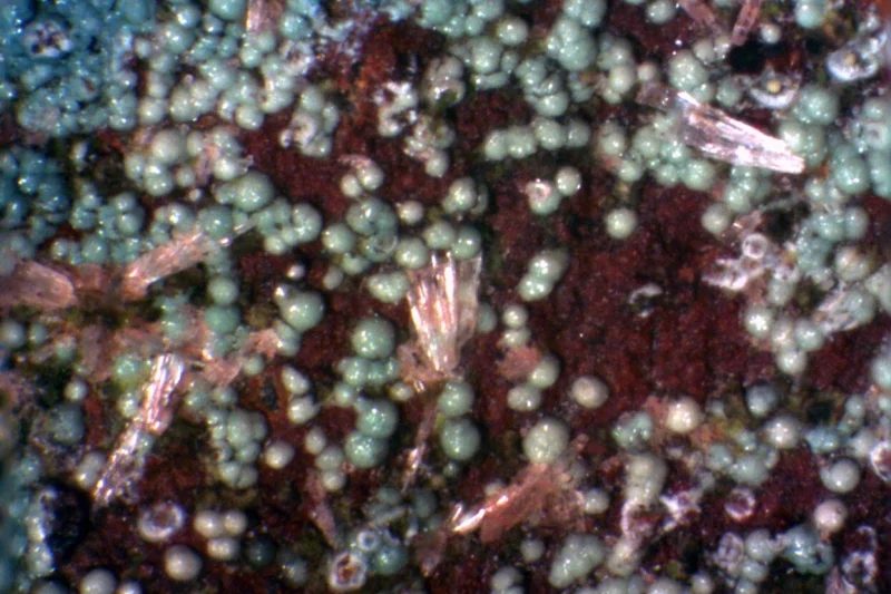 Chalcosiderite, Wavellite
