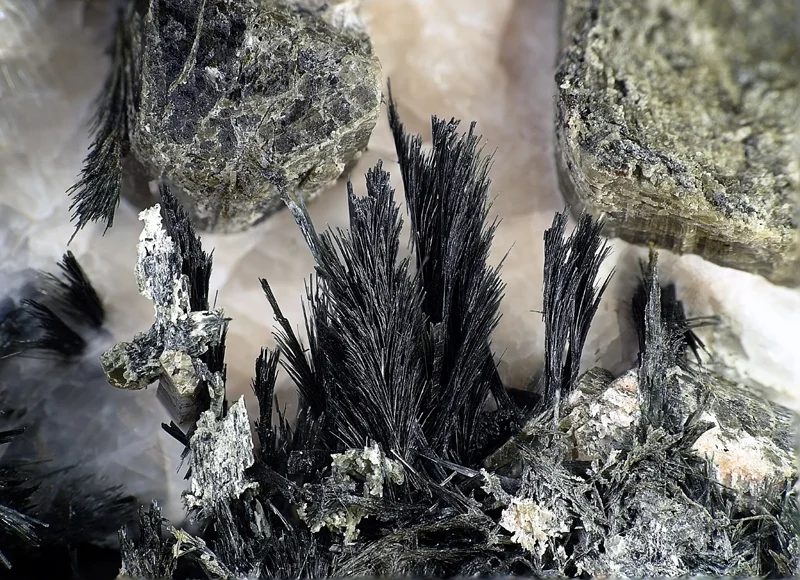 Actinolite