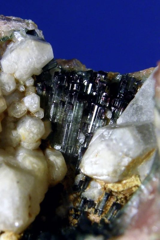 Foitite