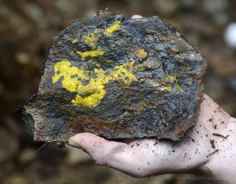 Greenockite