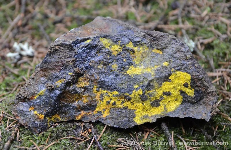 Greenockite