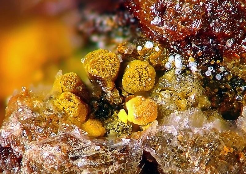 Mineral photo of Gypsum, Jarosite, Opal from locality Krupka, Czech Republic