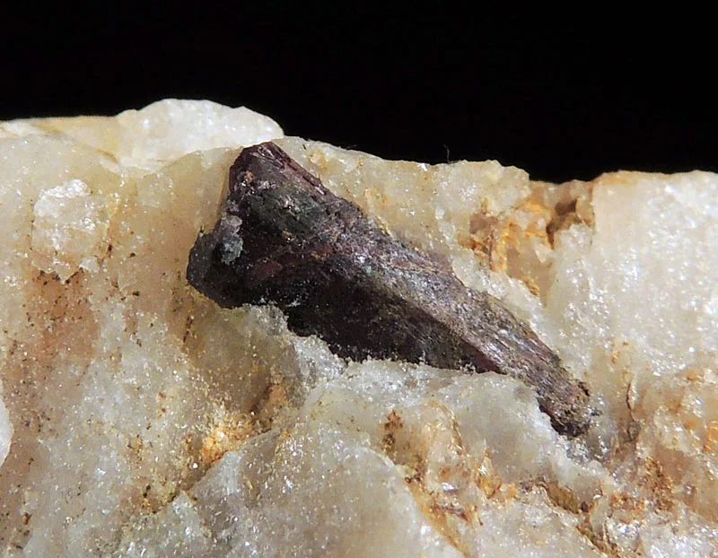 Rutile