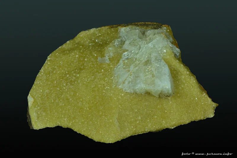 Whewellite