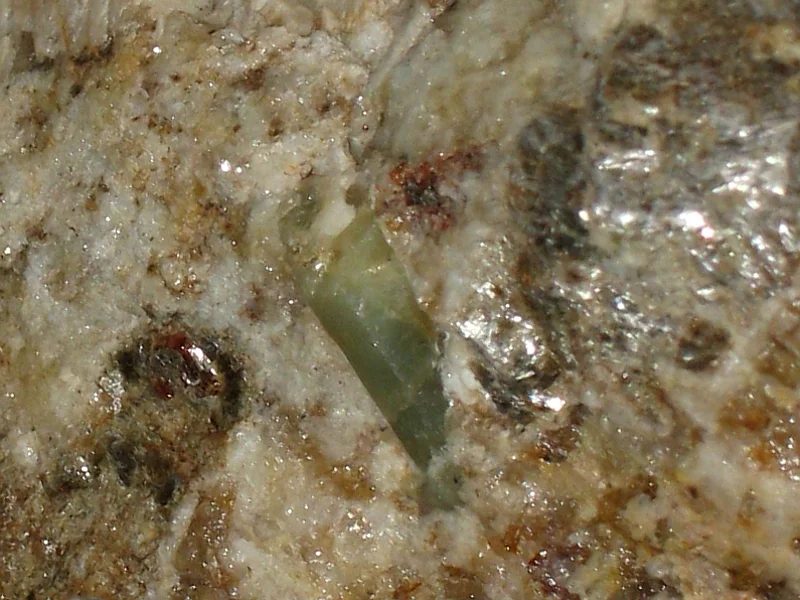 Beryl