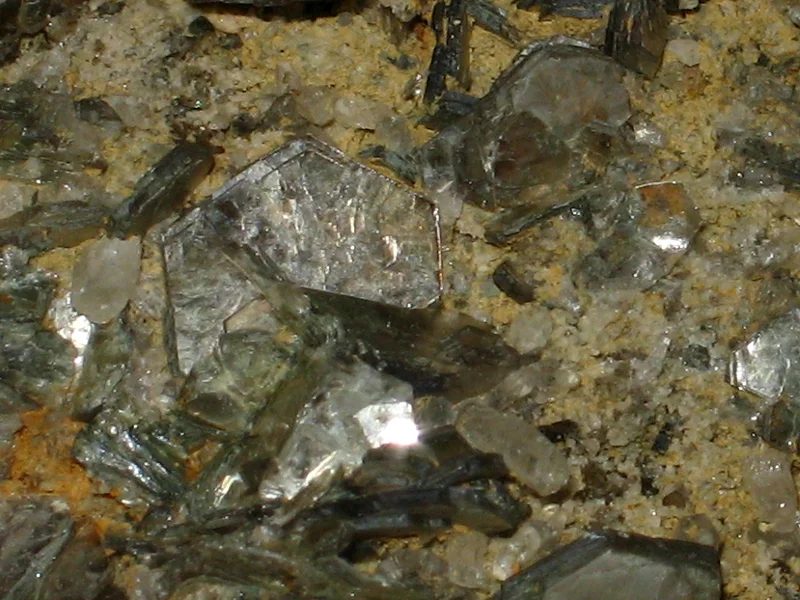 Muscovite
