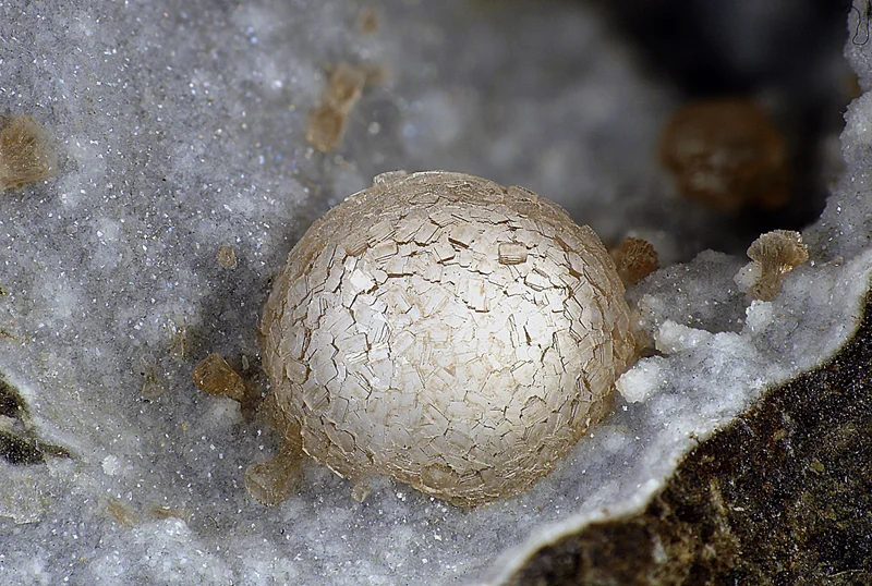 Thomsonite-(Ca)