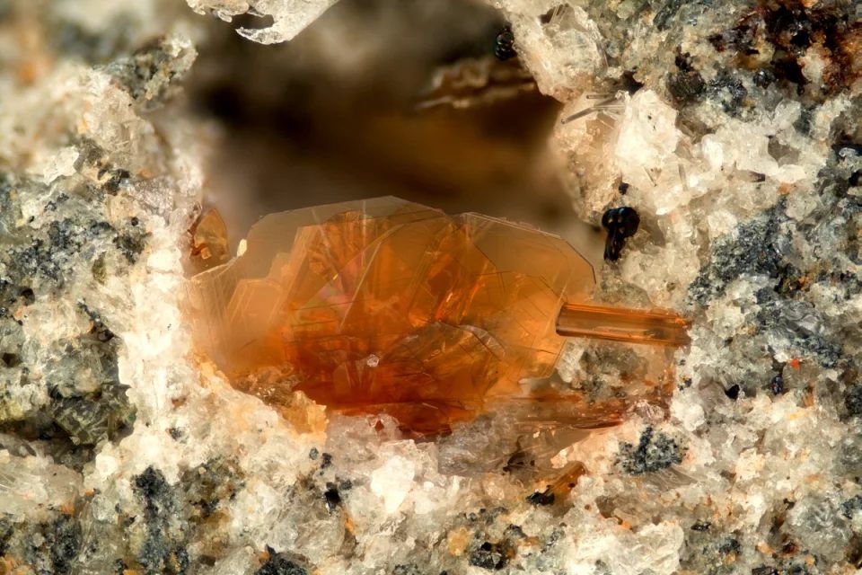 Fluorophlogopite