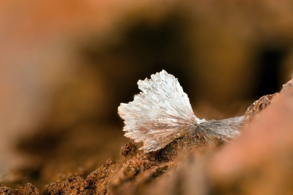 Hemimorphite