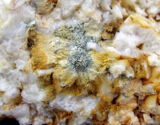 Actinolite