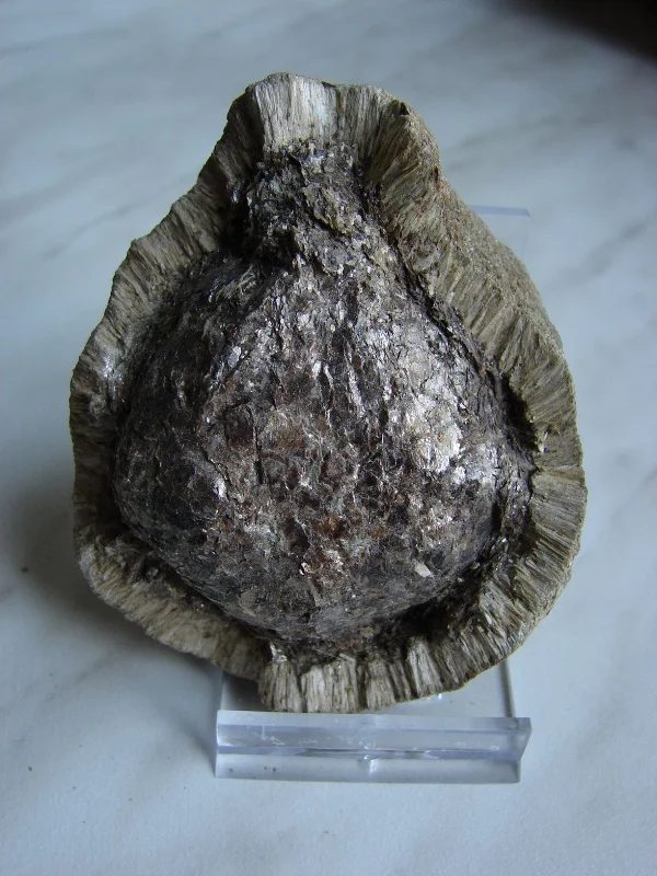 Anthophyllite, Phlogopite