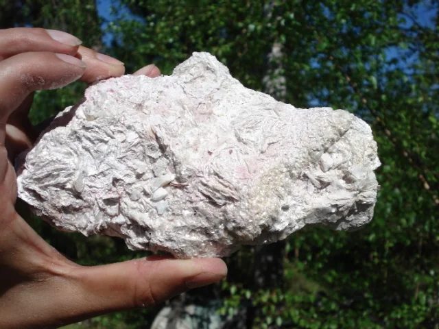 Cookeite