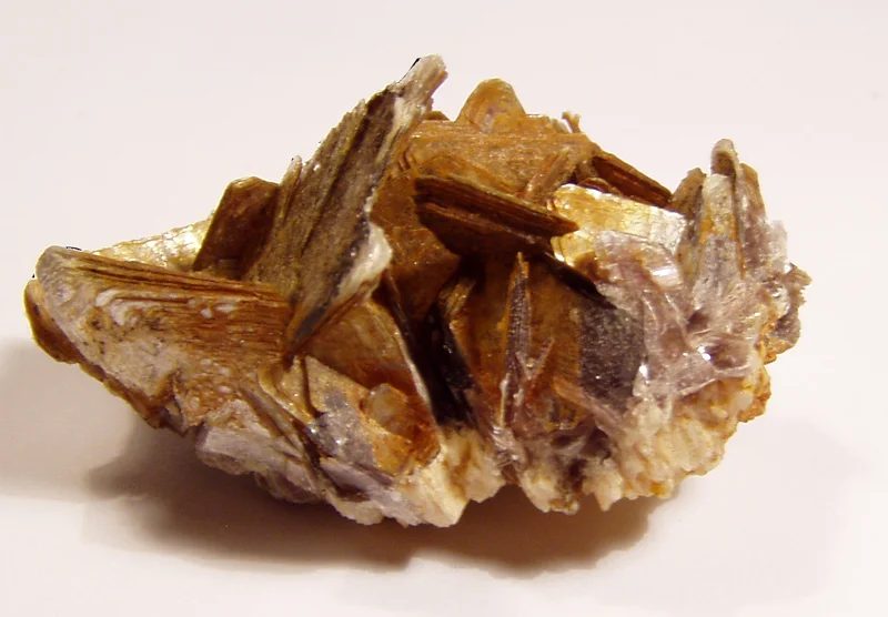 Muscovite