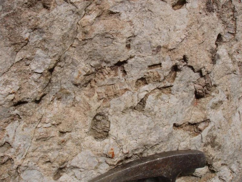 Mineral photo of Petalite from locality Barroso-Alvão - Lousas outcrop, Portugal