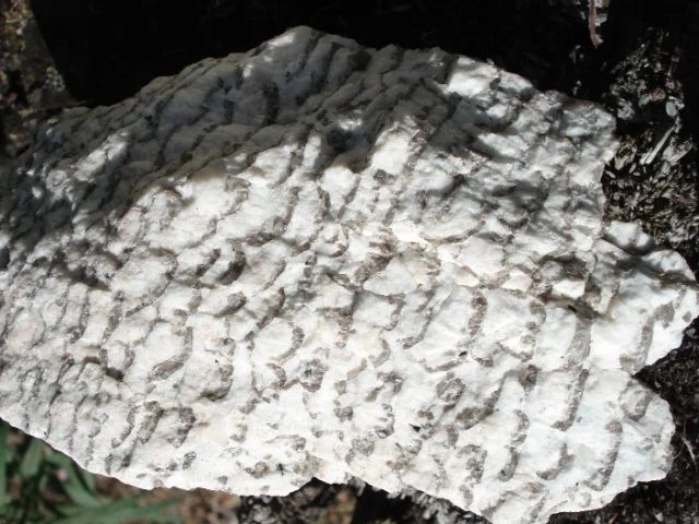 Mineral photo of Quartz (var. smoky) from locality Malkhan, Russia