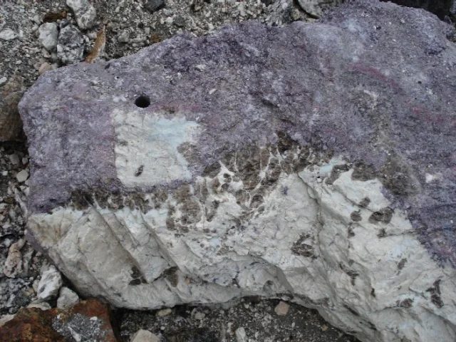 Trilithionite