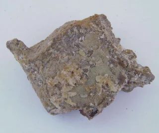 Mineral photo of Whewellite from locality Bílina, Czech Republic