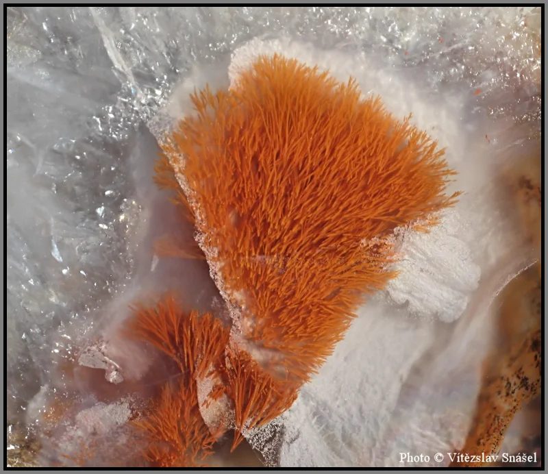 Mineral photo of Agate from locality Železnice, Czech Republic