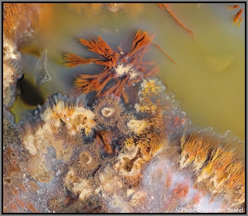 Mineral photo of Agate from locality Železnice, Czech Republic