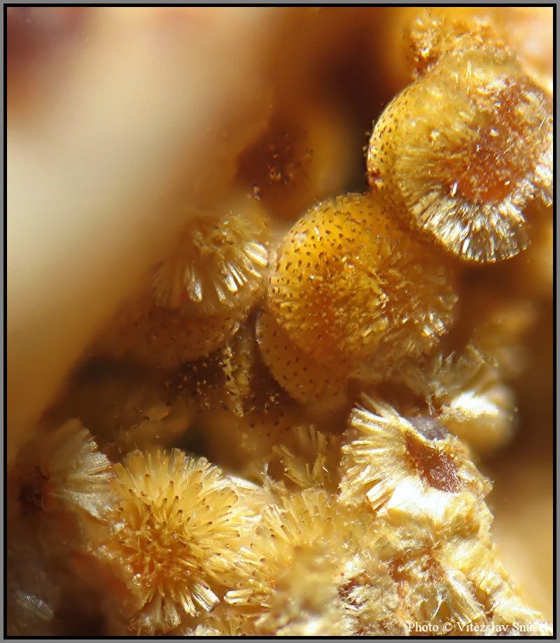 Mineral photo of Cacoxenite from locality La Lande quarry, Brittany, France