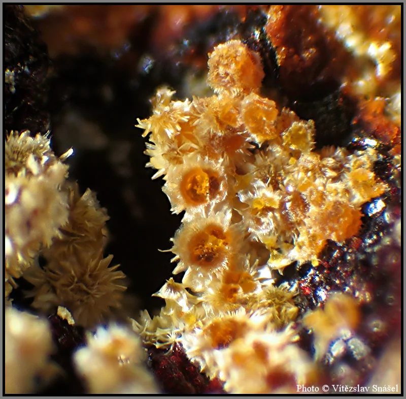 Mineral photo of Cacoxenite from locality La Lande quarry, Brittany, France