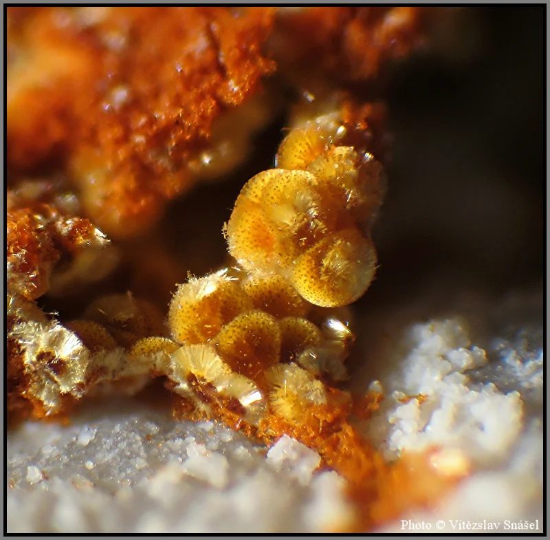 Mineral photo of Cacoxenite from locality La Lande quarry, Brittany, France