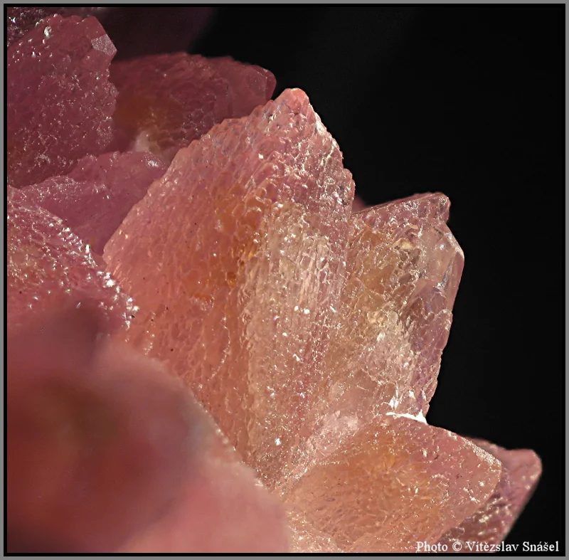 Calcite (var. cobaltoan calcite)