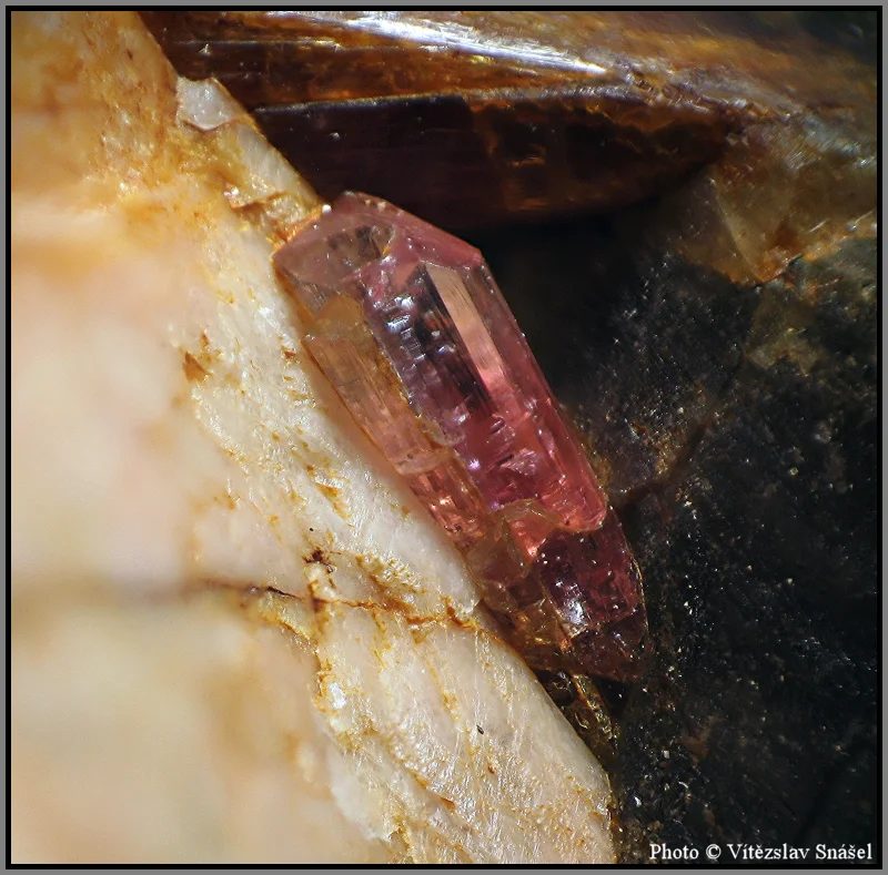Elbaite (var. rubellite)