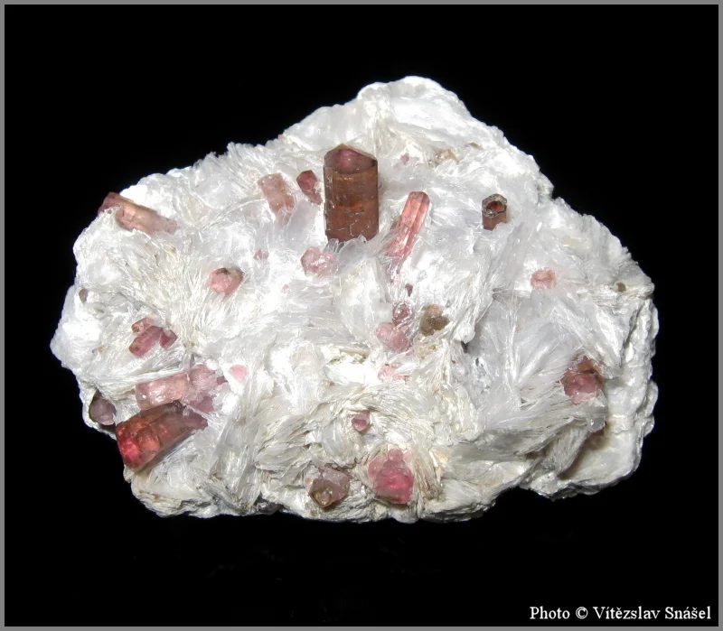 Mineral photo of Elbaite (var. rubellite), Lepidolite from locality Malkhan, Russia
