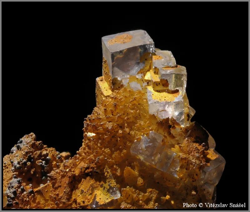 Mineral photo of Fluorite from locality Budjgar, Mongolia