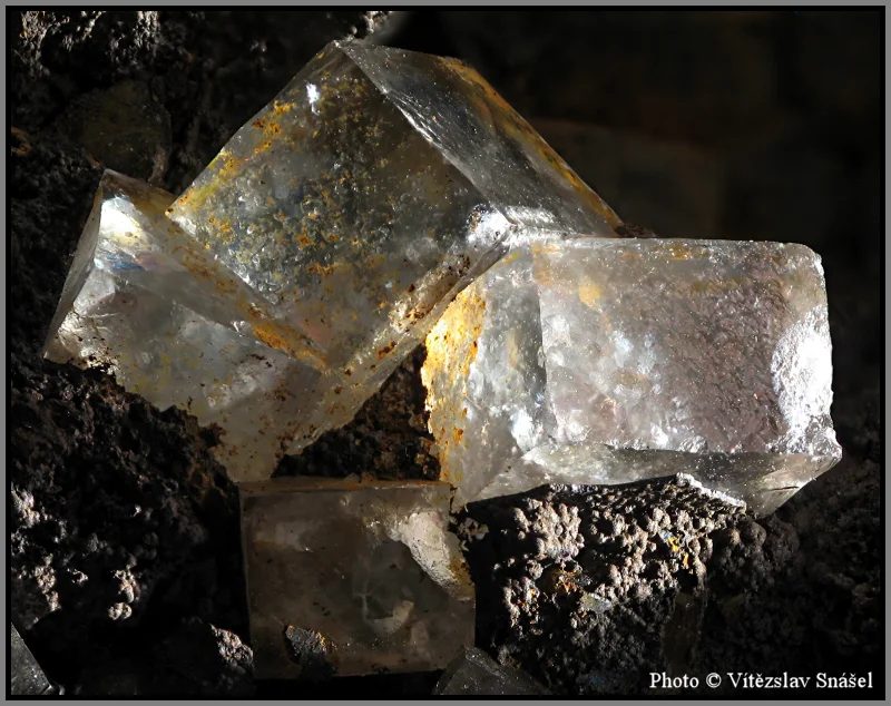 Mineral photo of Fluorite from locality Budjgar, Mongolia