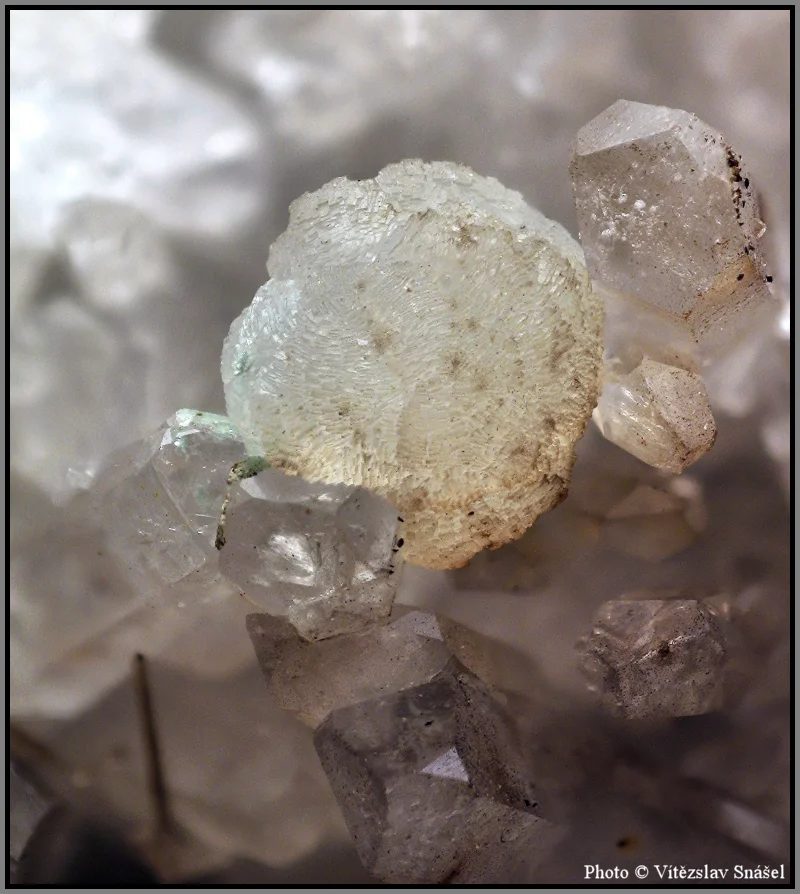 Mineral photo of Prehnite from locality Obří Důl, Czech Republic