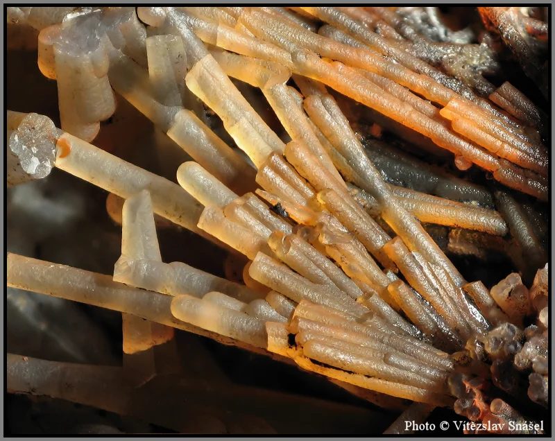 Mineral photo of Quartz (var. chalcedony) from locality Železnice, Czech Republic