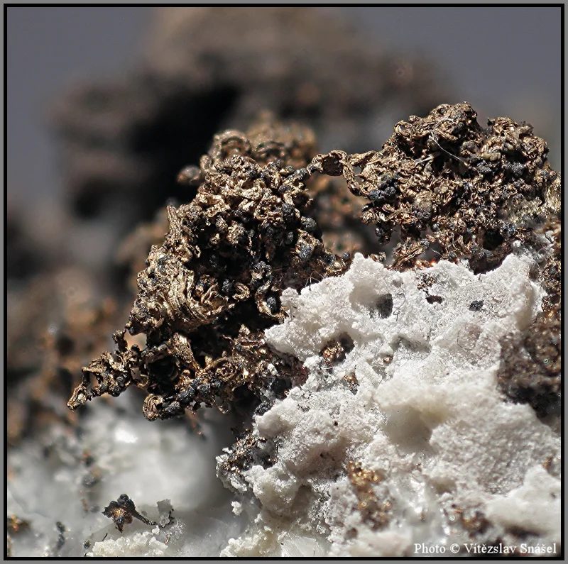 Mineral photo of Silver from locality Příbram, Czech Republic