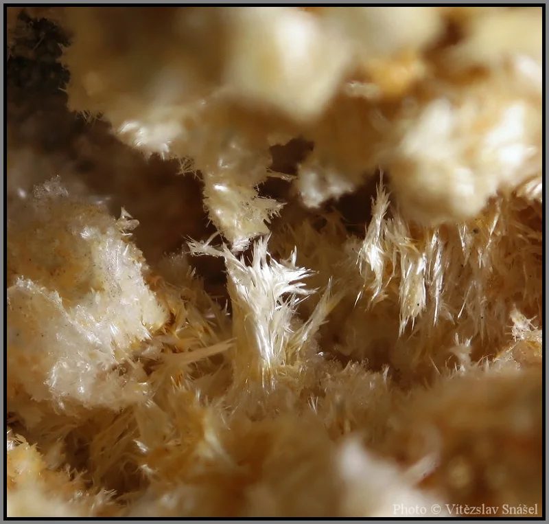 Halotrichite