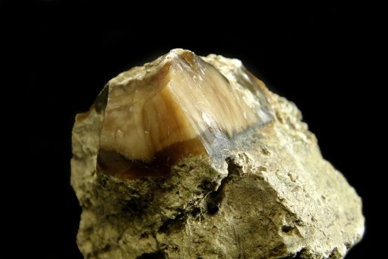 Mineral photo of Opal from locality Bohouškovice, Czech Republic