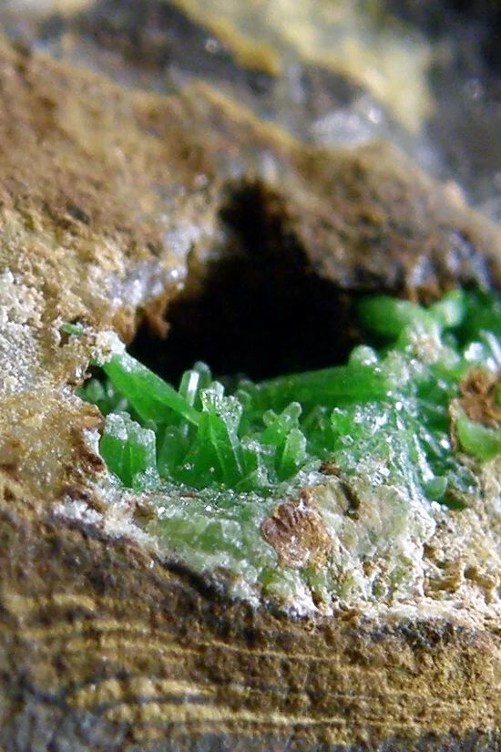 Mineral photo of Pyromorphite from locality Čiháň, Czech Republic