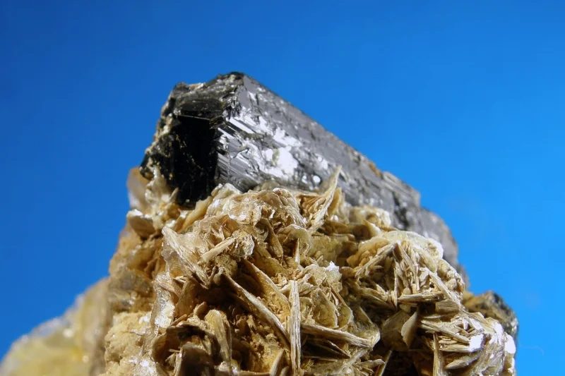 Mineral photo of Schorl from locality Březnice u Bechyně, Czech Republic