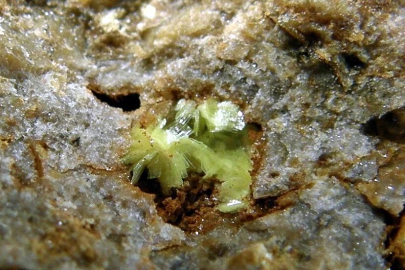 Mineral photo of Uranocircite from locality Damětice, Czech Republic