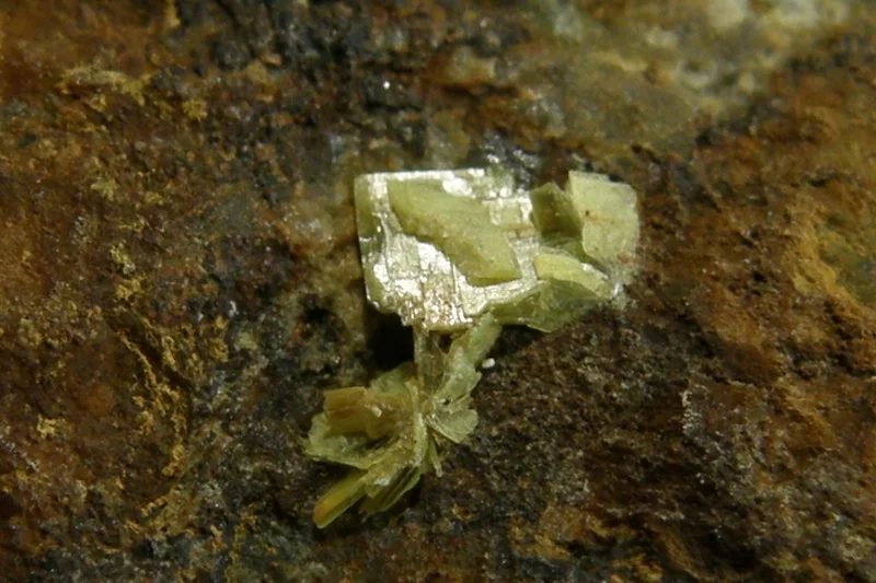 Uranocircite