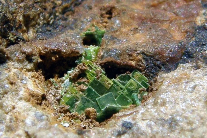 Uranocircite