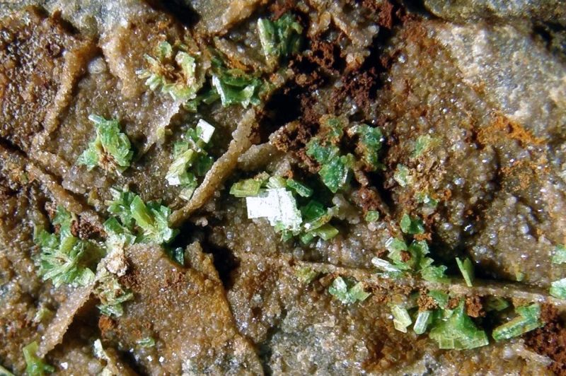 Uranocircite