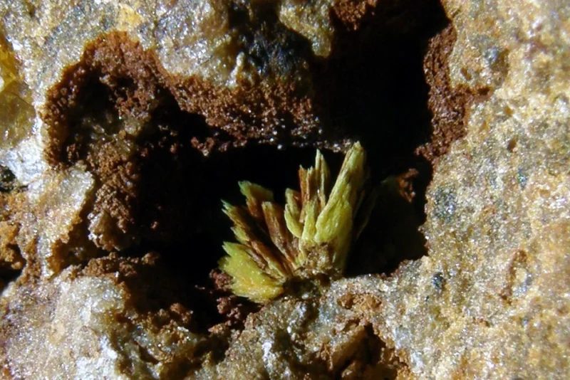 Uranocircite