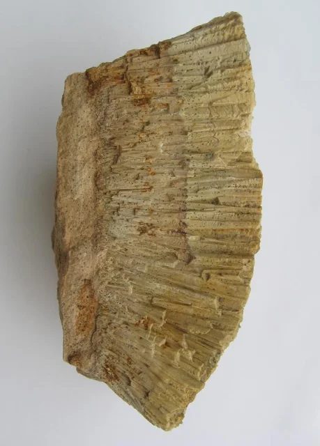 Mineral photo of Aragonite from locality Prachovice, Czech Republic