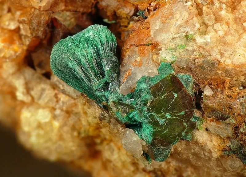 Mineral photo of Malachite from locality Niederschlag, Germany