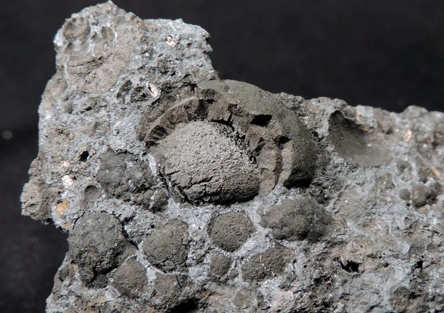 Pyrolusite, Romanéchite